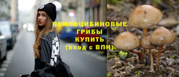 стафф Армянск