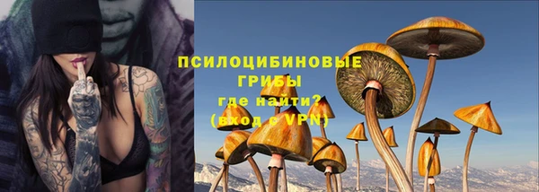ешки Арсеньев
