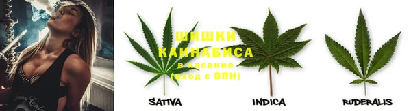 ешки Арсеньев