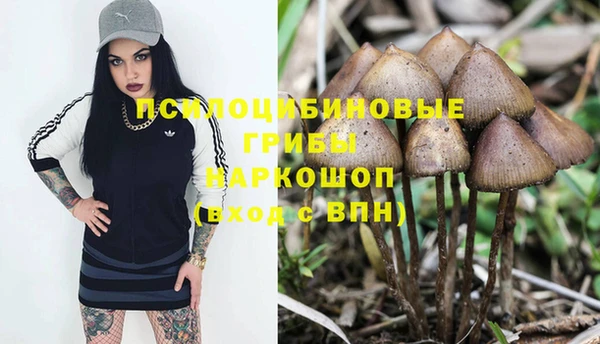 стафф Армянск