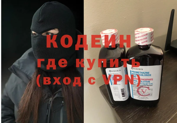индика Осташков