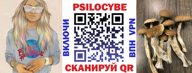 Псилоцибиновые грибы Psilocybe  где можно купить   Сычёвка 
